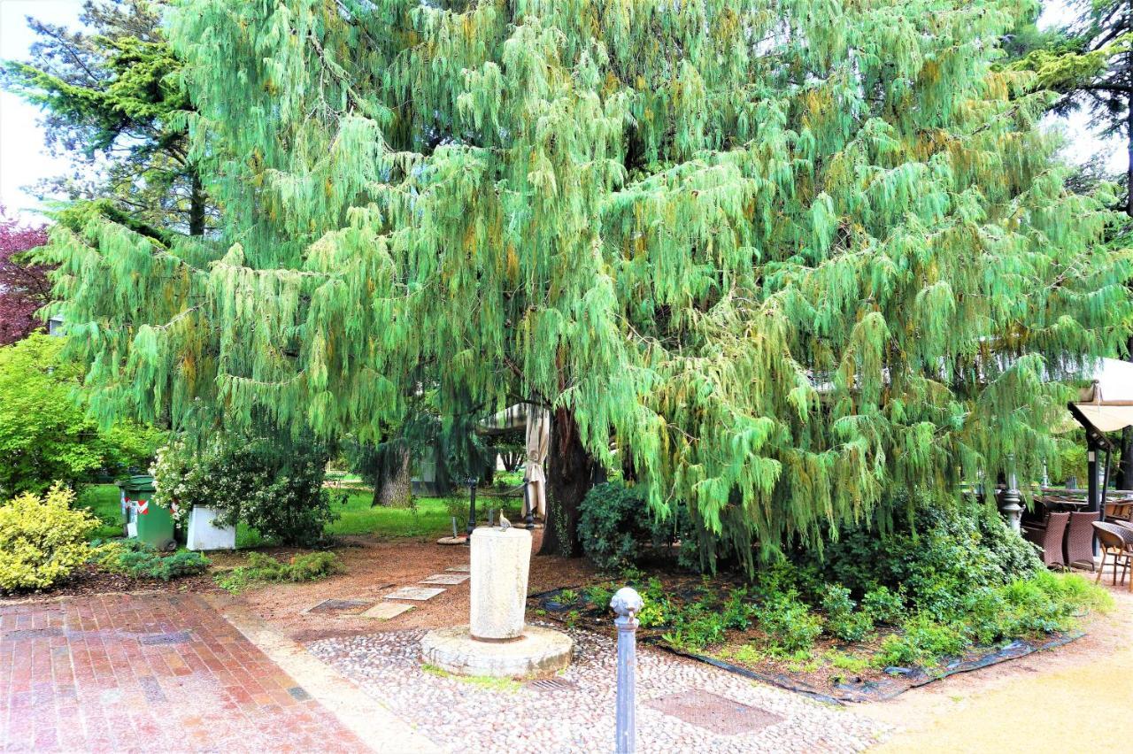 Villa Principessa Deluxe Arco Dış mekan fotoğraf